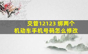 交管12123 绑两个机动车手机号码怎么修改